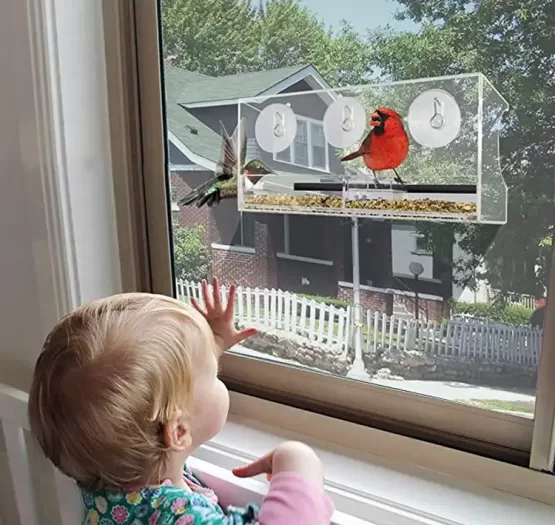 Child looking at birds in a window bird feeder